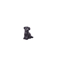 Black Lab Orn