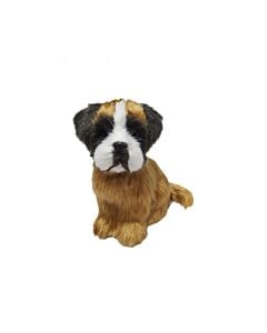 Boxer Orn