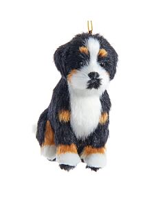 Furry Bernese Mountain Dog