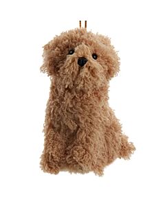 Furry Doodle Dog