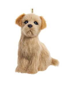 Furry Golden Retriever Dog