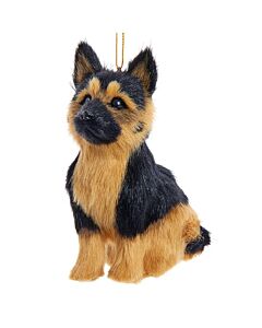 Furry German Shepherd Dog