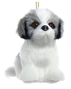 Grey Furry Shih-Tzu Dog