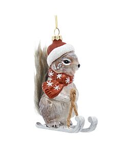Squirrel Skiing with Hat and Scarf