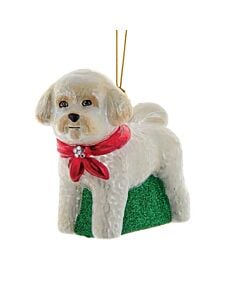 Noble Gems™ Bichon Frise
