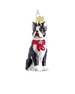 Noble Gems™ Boston Terrier