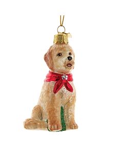 Noble Gems™ Goldendoodle