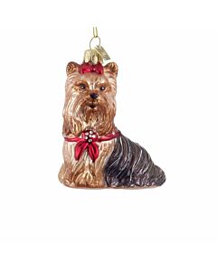 Noble Gemsâ„¢ Yorkshire Terrier