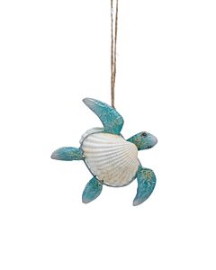Shell Turtle