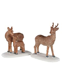Deer Family