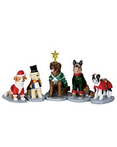 Costumed Canines, Set Of 5