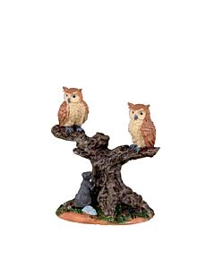 Spooky Owls