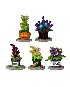 Houseplant Horror, Set of 5