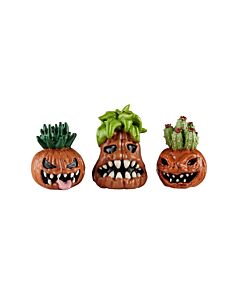 Toothy Pumpkins, Set of 3
