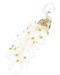 Elegant Peacock