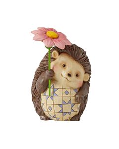 Mini Hedgehog