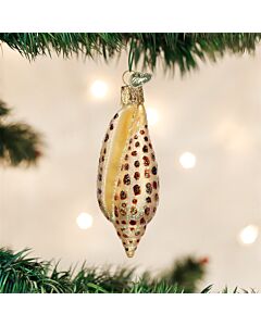Junonia Shell Ornament