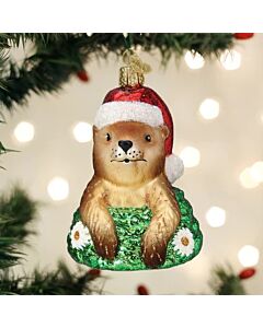 Santa Groundhog
