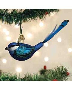 Fairy Wren