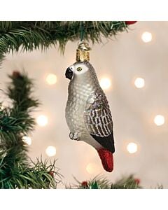 African Grey Parrot