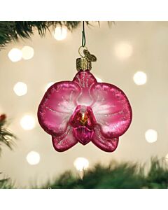 Orchid