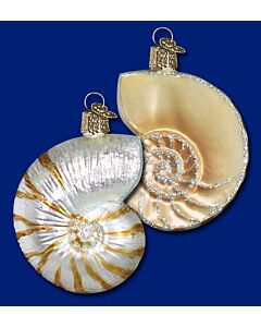 Nautilus Shell