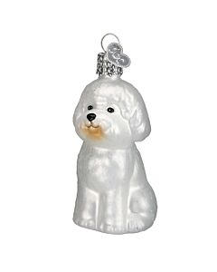 Bichon Frise
