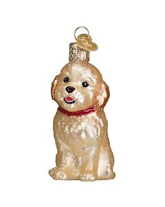 Cockapoo Puppy