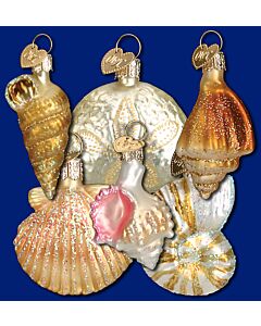 Assorted Sea Shells, Set of 6 Glass Ornaments
