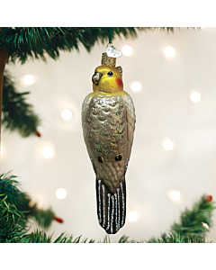 Cockatiel
