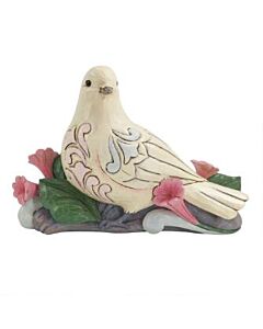 Bold & Beautiful-White Dove