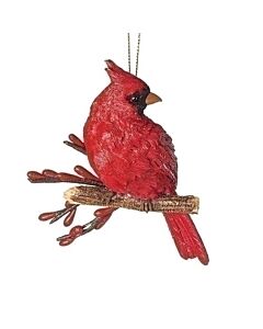 Christmas Cardinal on Branch
