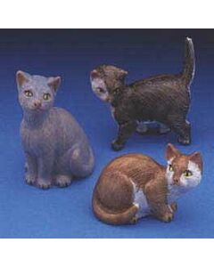 Cats - 5''