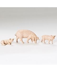 Pig Family