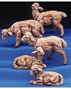 White Sheep - 5''