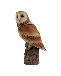 Woodland Wisdom - Barn Owl