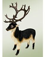 Caribou