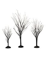 Black Bare Branch Trees