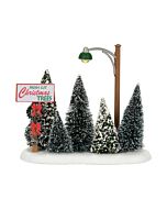 LIT Christmas Tree Lot