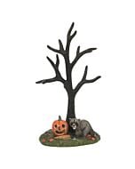 The Rabid Pumpkin Bandit