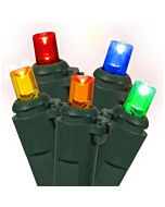 100 Multi-Colored LED Lights