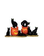 Halloween Cats, Set of 2