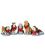 A charming group of five dogs, each adorned with a lush Christmas wreath and a vibrant red bow, bringing holiday cheer to any setting.