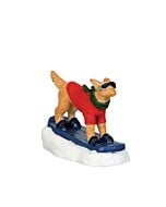 Snowboarding Dog