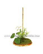 Spring Fern Stand Lg - 12''