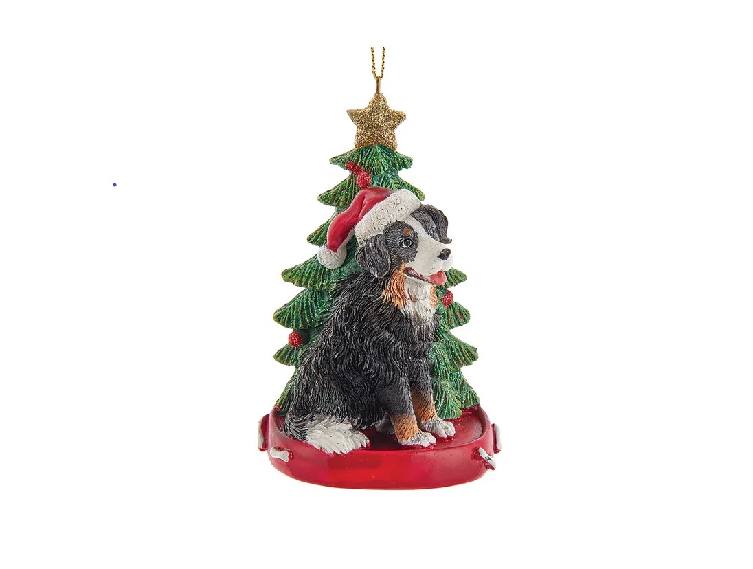 Bernese Mountain Dog with Christmas Tree Ornament