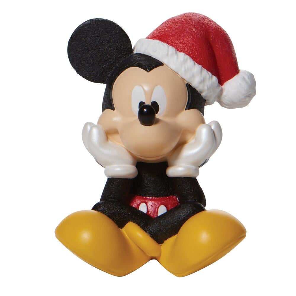 Mickey Mouse Holiday